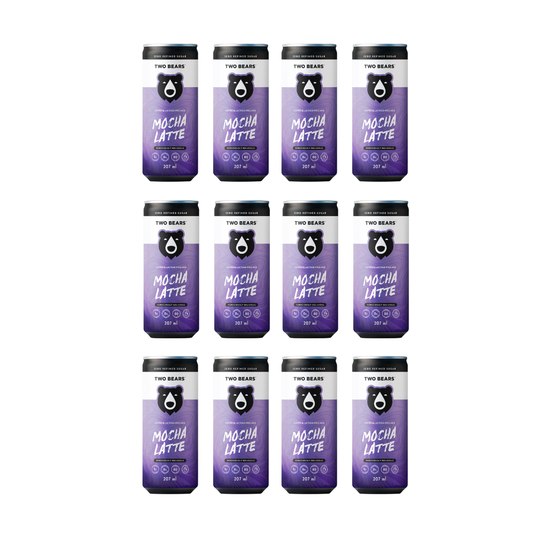 Coffee | Two Bears Lactose-Free Mocha Dairy Latte – Upside Drinks