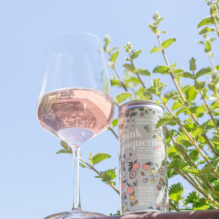 Benjamin Bridge - Pink Piquette Zero Wine style
