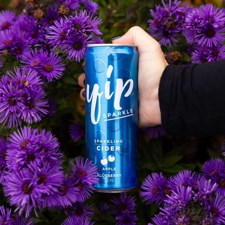 Yip Cider - Sparkle Blueberry