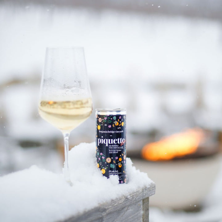 Benjamin Bridge - Piquette Zero Wine Style