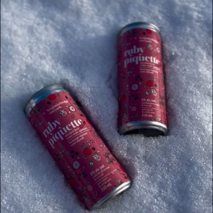 Benjamin Bridge - Ruby Piquette Zero Wine style