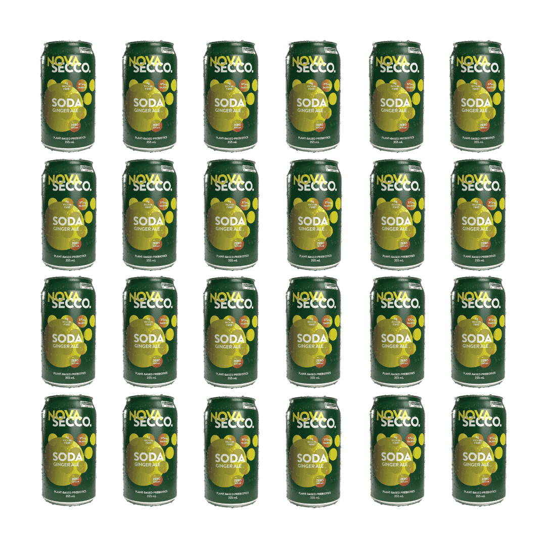Novasecco - Ginger Ale Prebiotic Soda