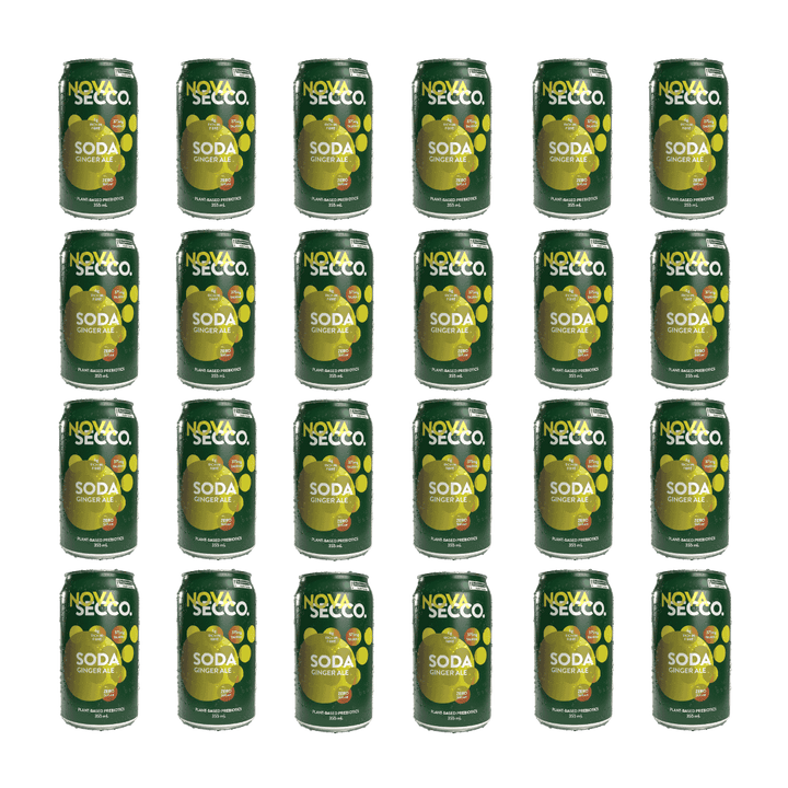Novasecco - Ginger Ale Prebiotic Soda
