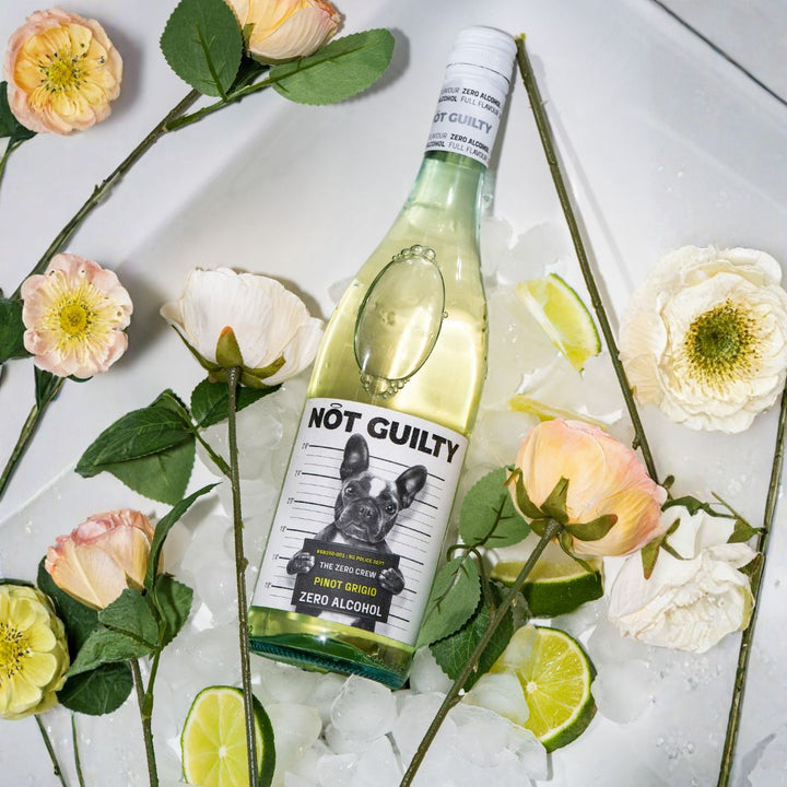 Not Guilty - Pinot Grigio