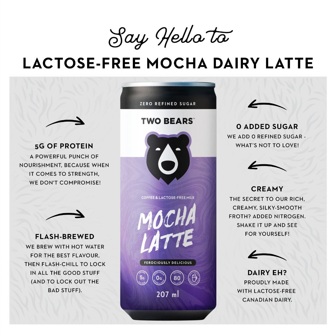Two Bears - Lactose-Free Mocha Dairy Latte