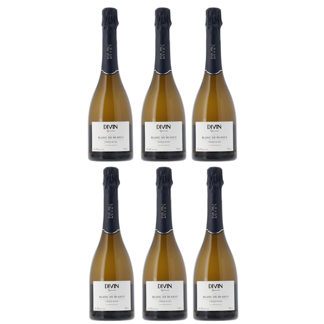 DIVIN - Vigneron - Sparkling Chenin Blanc, non-alcoholic wine, photo 2 of 6