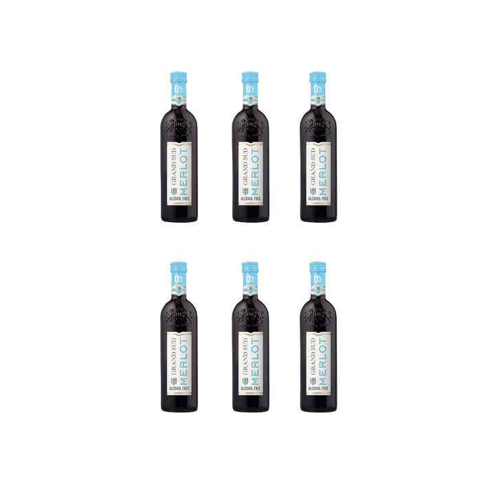Grand Sud - Merlot - Single-Serve 250 mL