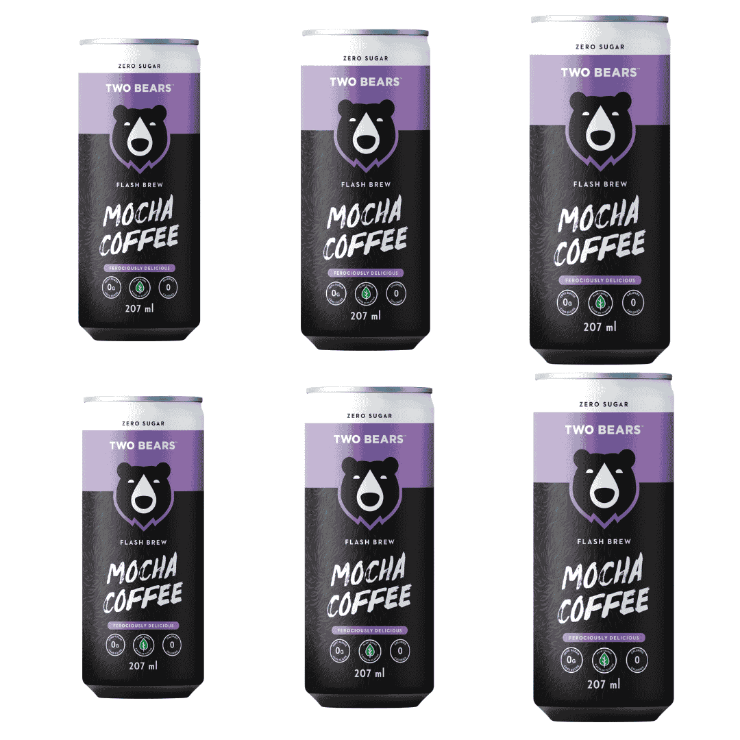 Two Bears - Mocha Flash Brew Coffee