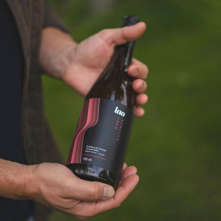 Lao - Yunnan Bold - Tea