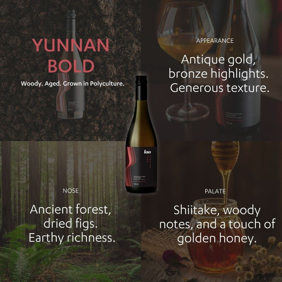 Lao - Yunnan Bold - Tea