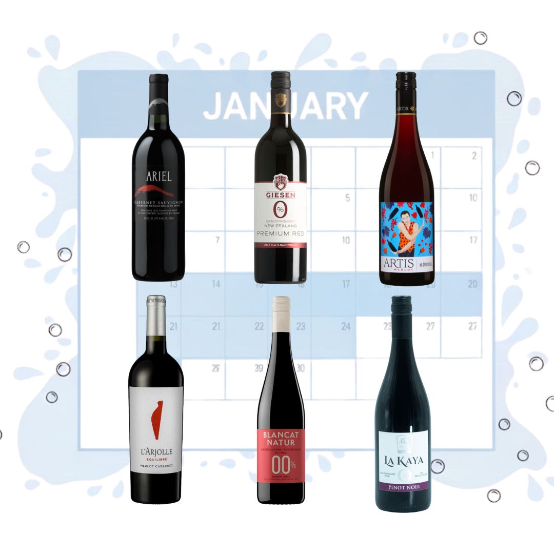 Dry January - Classic Red Wine Selection Bundle
