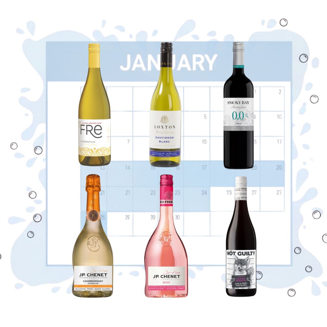 Dry January - Essential Discovery Wine Selection Bundle