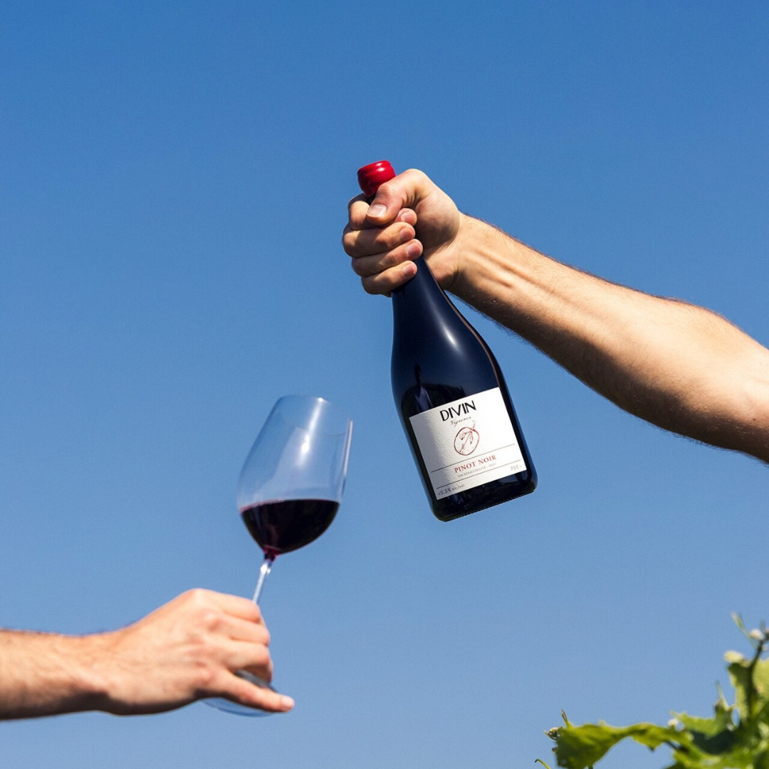 DIVIN - Vigneron - Pinot Noir, non-alcoholic wine, photo 4 of 6
