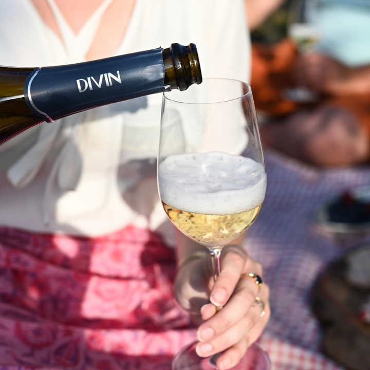 DIVIN - Vigneron - Sparkling Chenin Blanc, non-alcoholic wine, photo 5 of 6