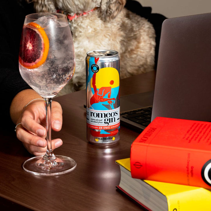 Romeo's Gin - Blood Orange + Rhubarb - Gin Spritz