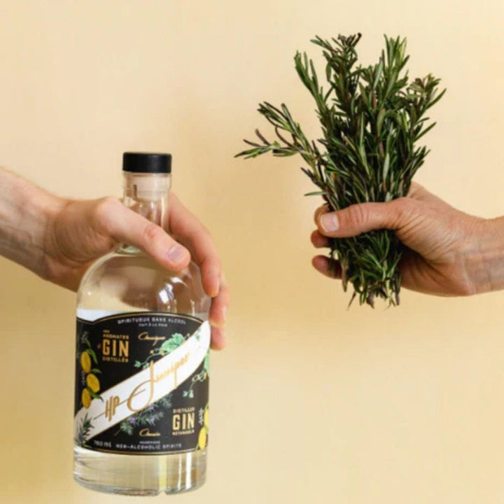 HP Juniper - Classic - Gin