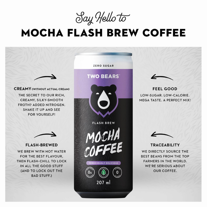 Two Bears - Mocha Flash Brew Coffee