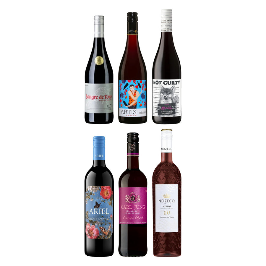 Discovery Red Wine Box (6 Pack)