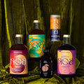 NOA Dragon's Den